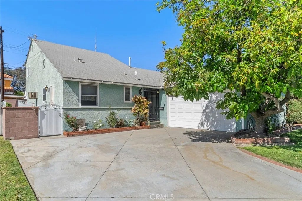 10253 Angell — photo
