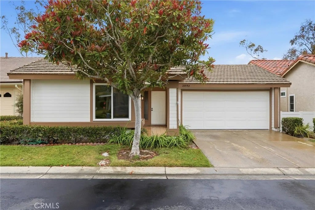 23592 Villena — photo