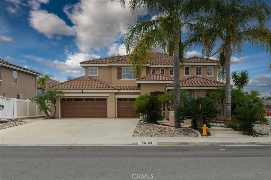 26103 Palmetto — photo