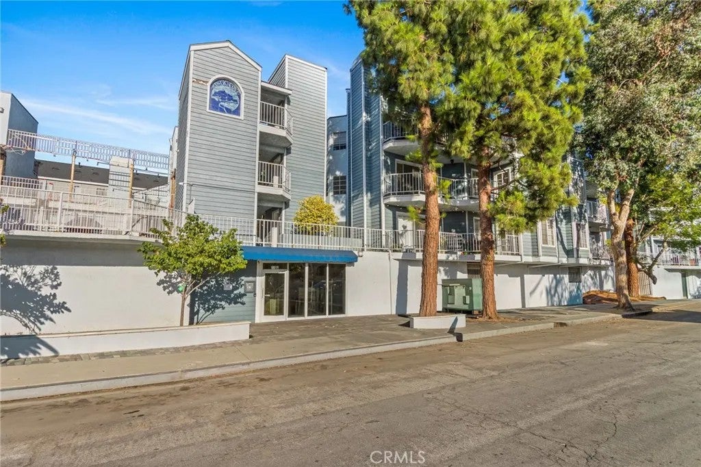 1100 Euclid 113 — photo