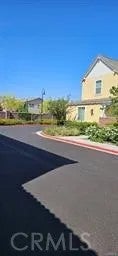 8787 Wanderlin — photo