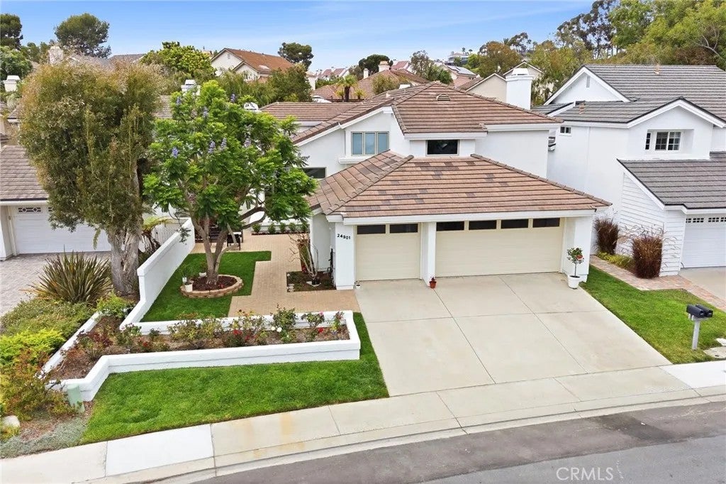 24901 Danafir — photo