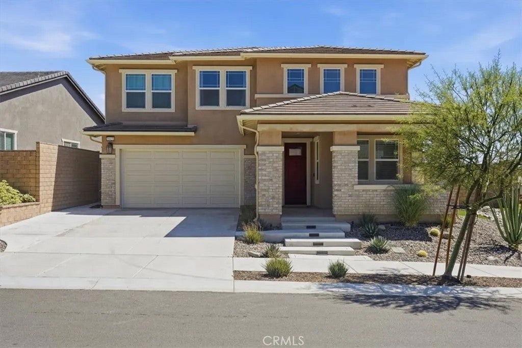 39421 Verbena — photo