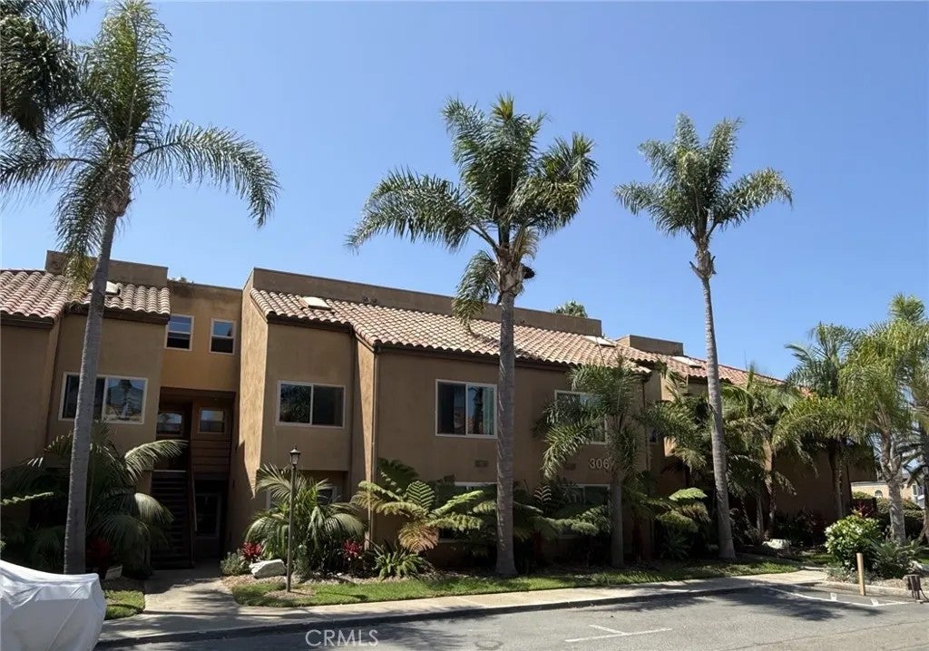 306 Coral Reef 50 — photo