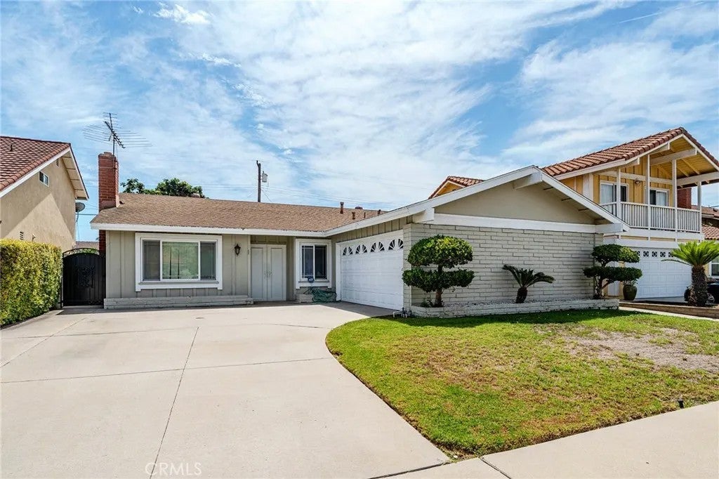5842 Daisy — photo