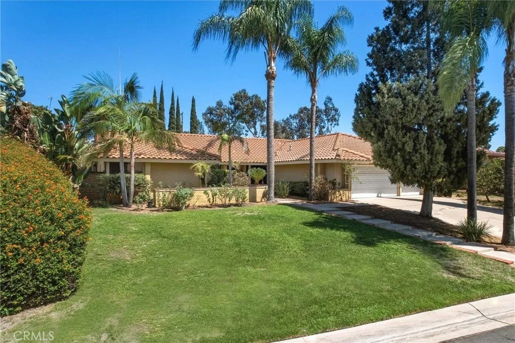 17891 Caballo — photo