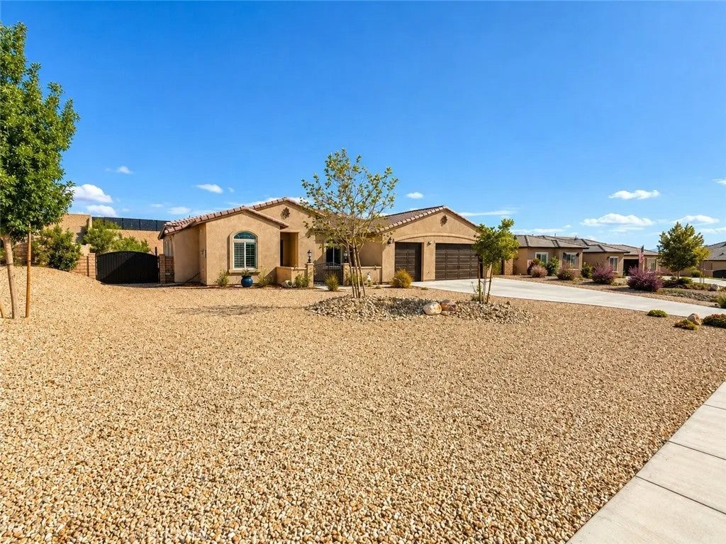 19409 Javelina — photo