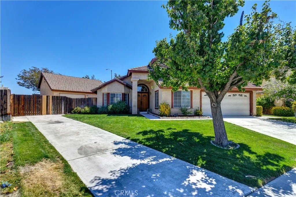 38016 Ranier — photo