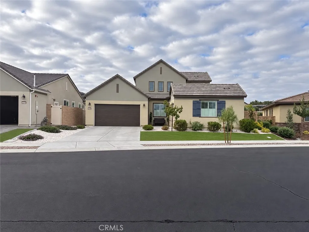 32229 Olea — photo