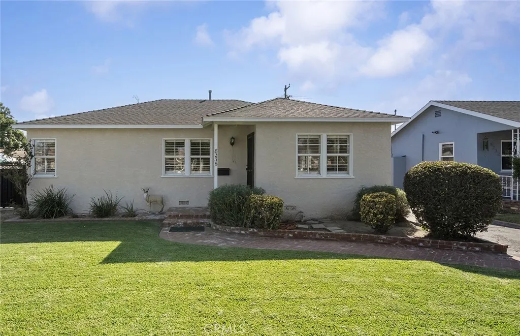 8236 Nada — photo
