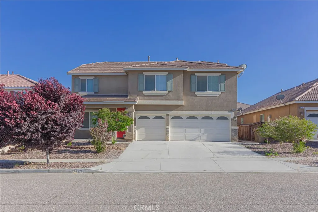 14239 Larkspur — photo