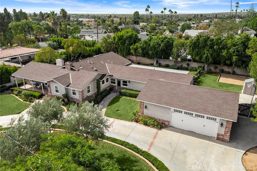 4551 Danita — photo