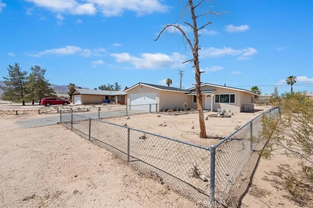 5566 Daisy — photo