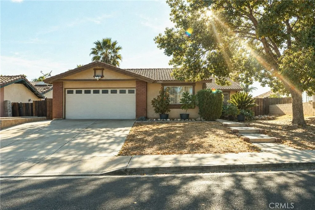 12863 Ninebark — photo