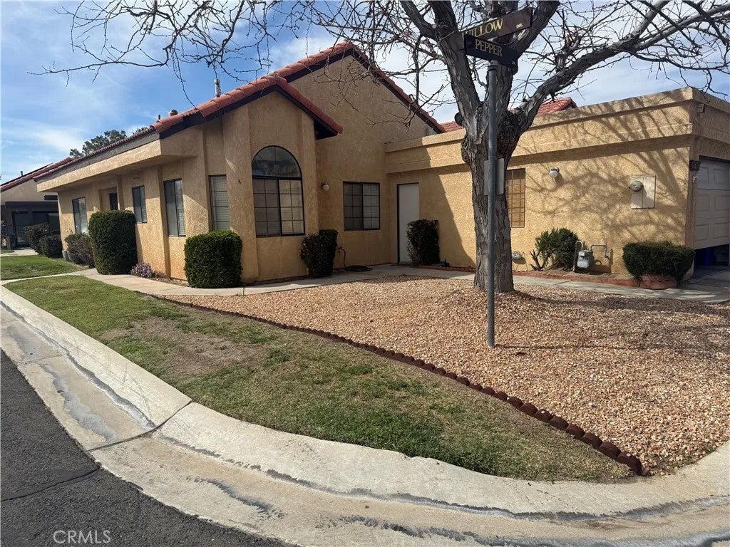 11620 Pepper — photo