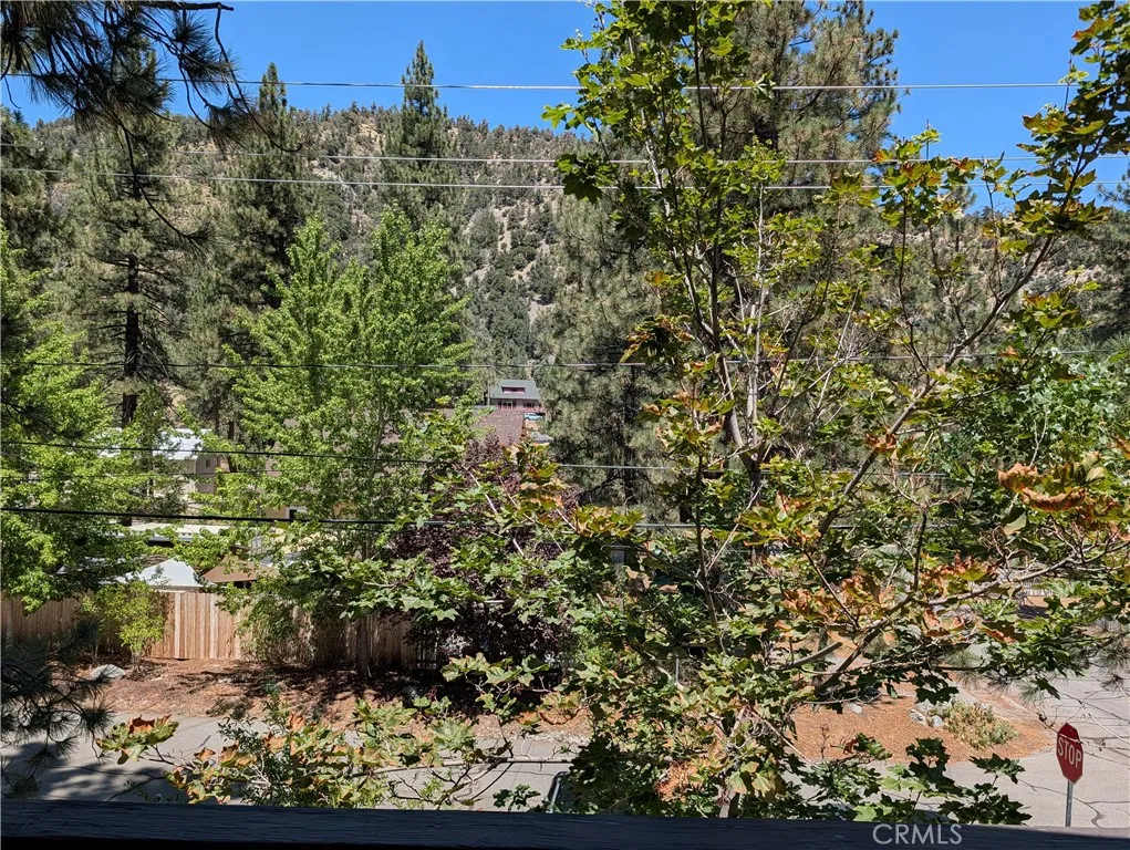 1587 Ross, Wrightwood, CA 92397 — photo 3