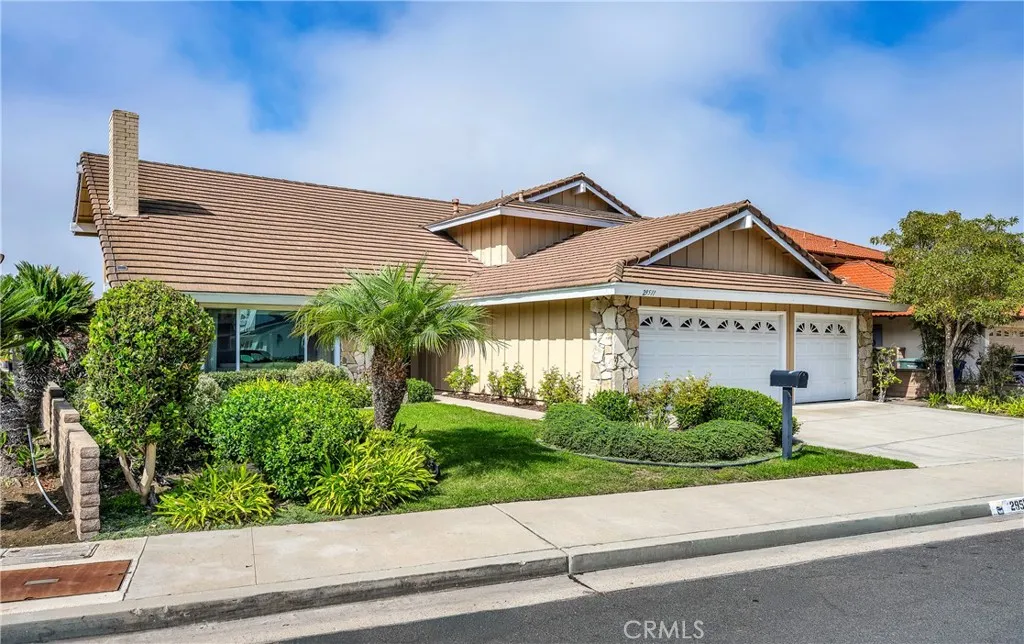 29511 Driftwood — photo