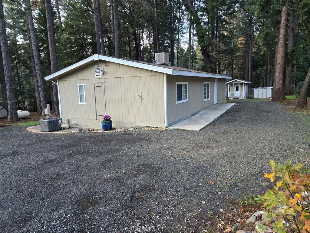 6595 Tikker — photo