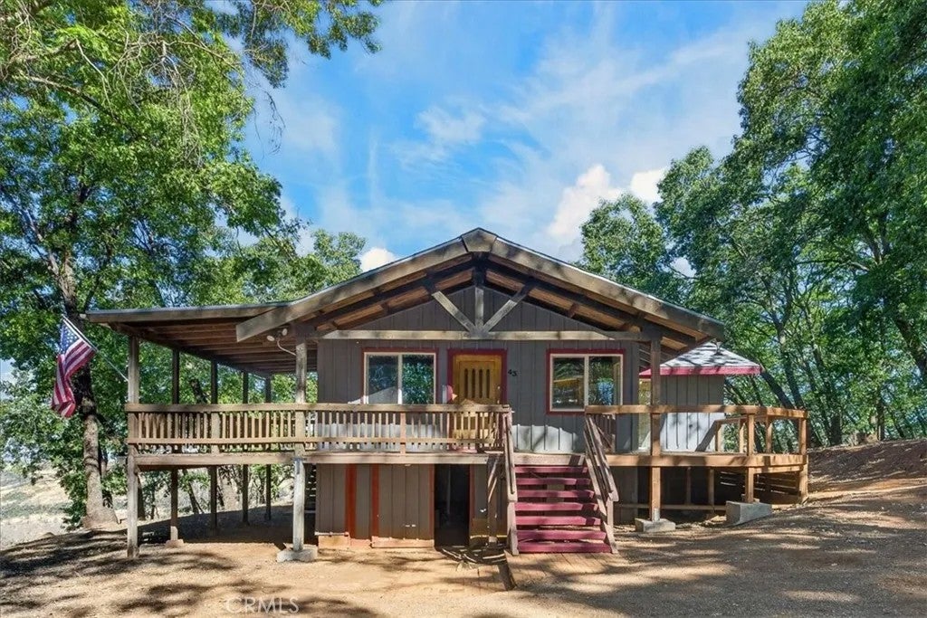 43 Dacy — photo