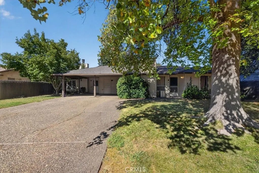 3403 Silverbell — photo