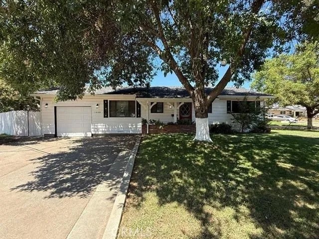 1008 Franzel — photo