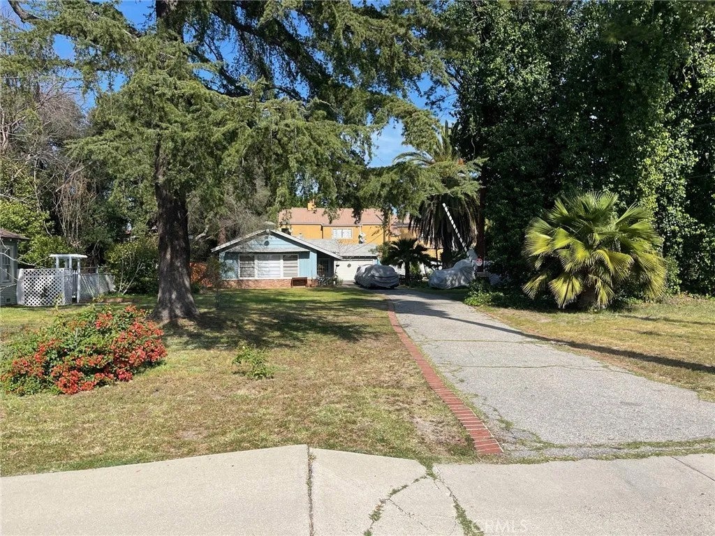 13029 Magnolia — photo