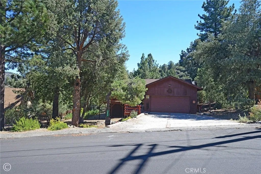 15417 Acacia — photo