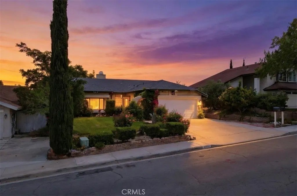 36790 Spanish Broom — photo