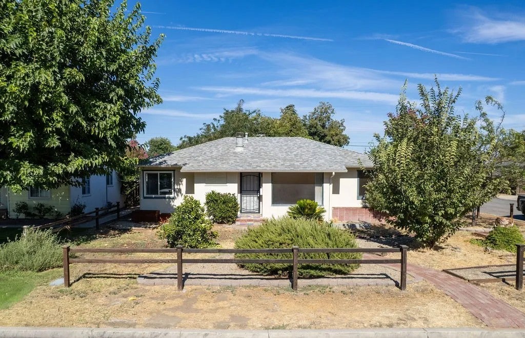 326 Olive — photo
