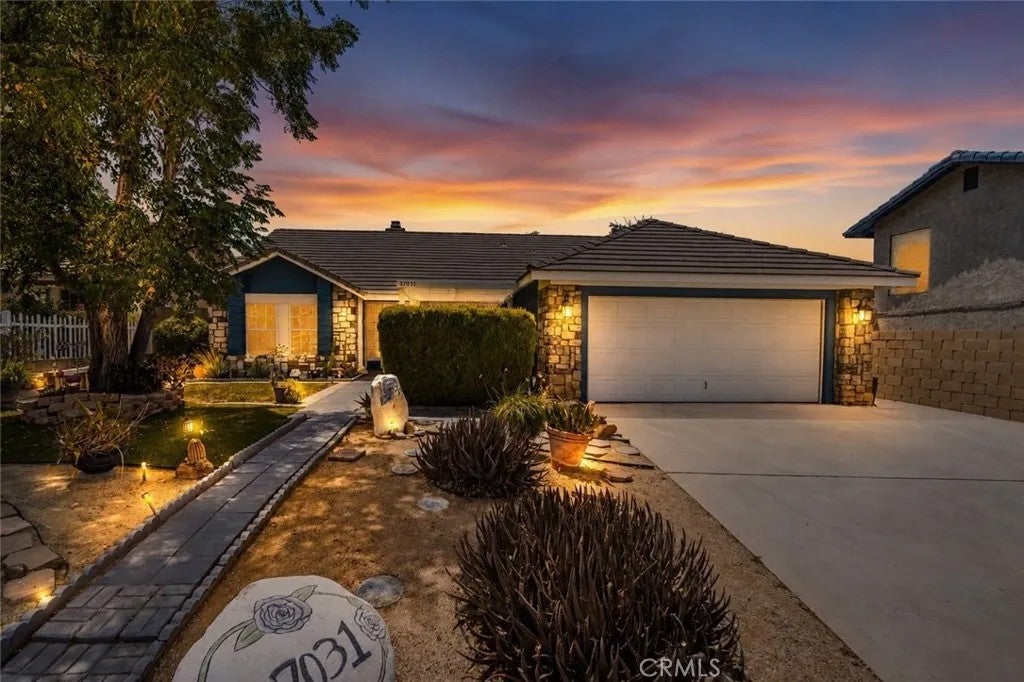 37031 La Contempo — photo