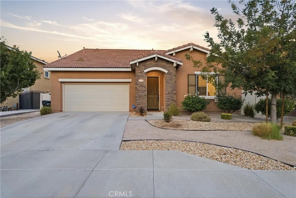 43832 Windrose — photo