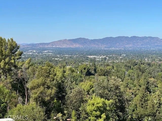 4631 Caritina — photo