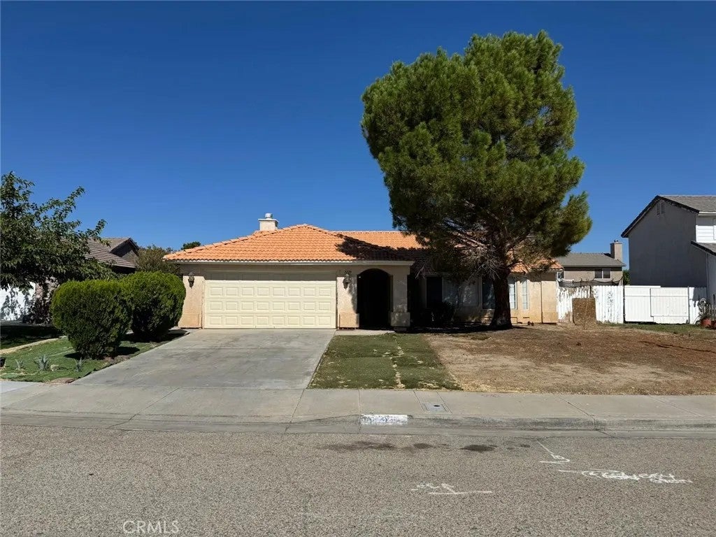 1229 Onyx — photo