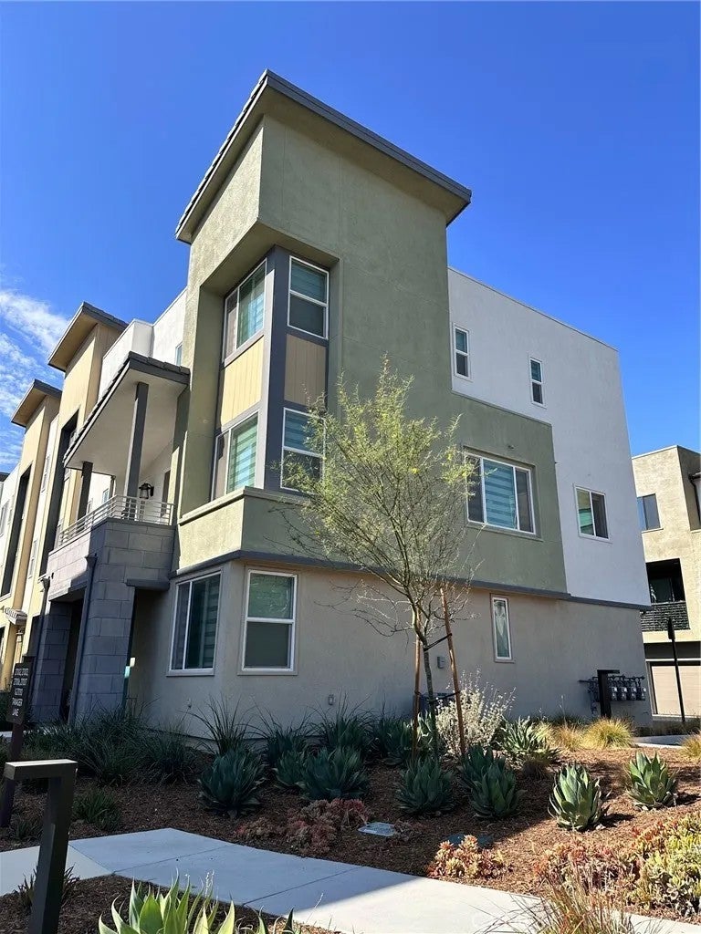 27007 Tanager — photo
