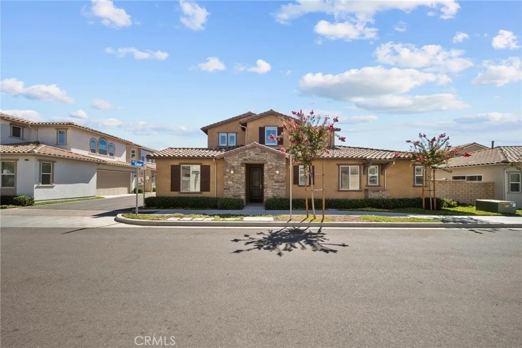 27105 Yearling — photo