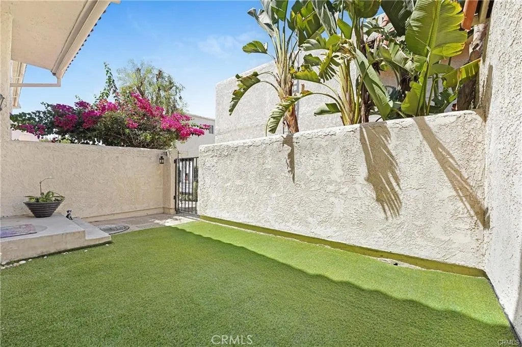 6223 Nita — photo
