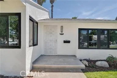 18234 Sugarman — photo