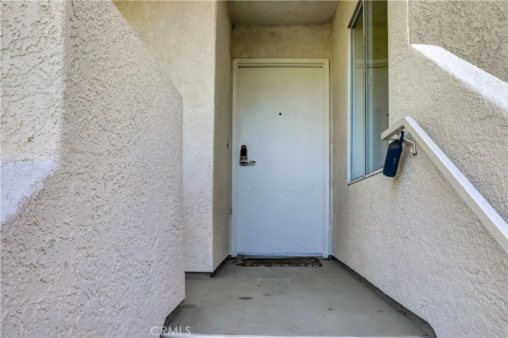 21309 Eucalyptus — photo