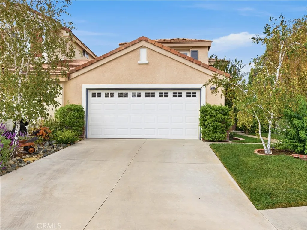 23653 Silverhawk — photo