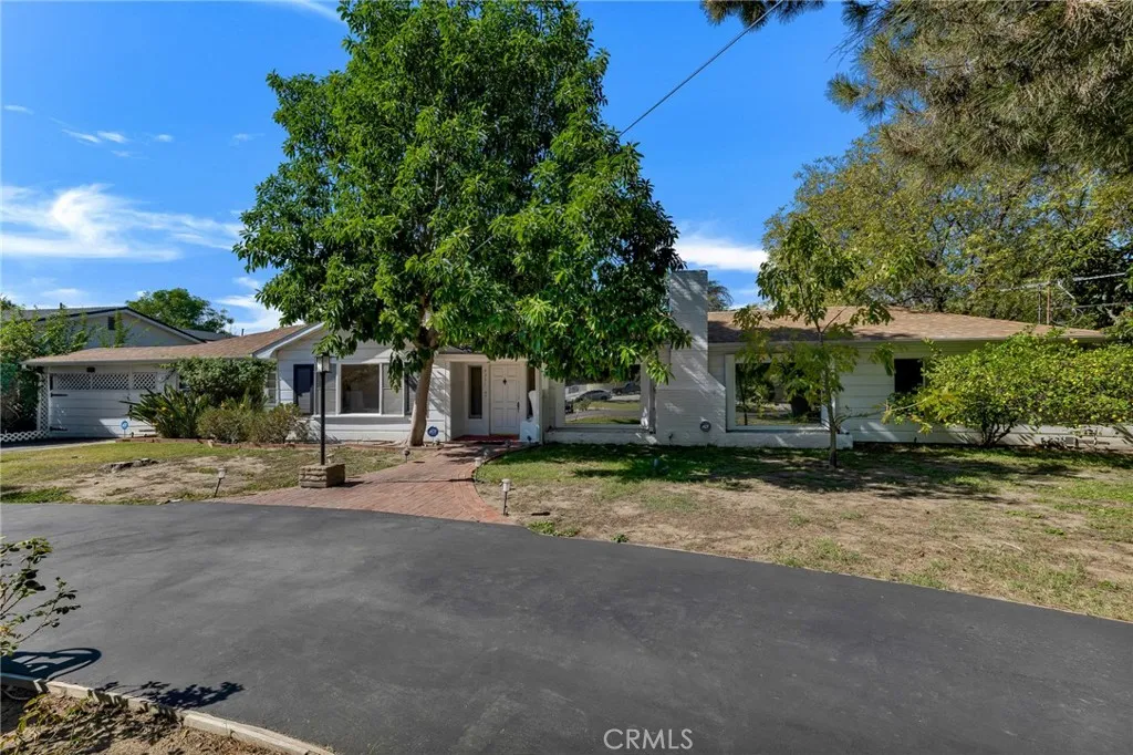 8351 Louise — photo