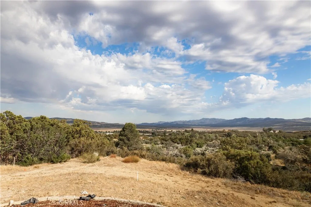 56515 Dickson, Anza, CA 92539 — photo 3