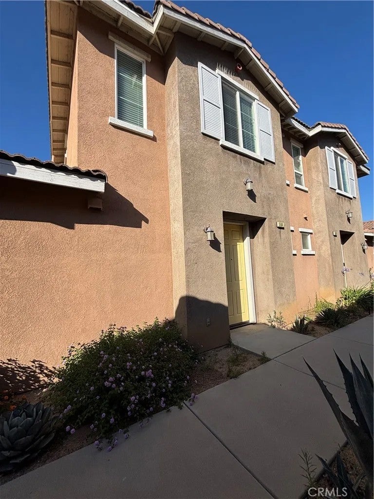 824 Coriander 504 — photo