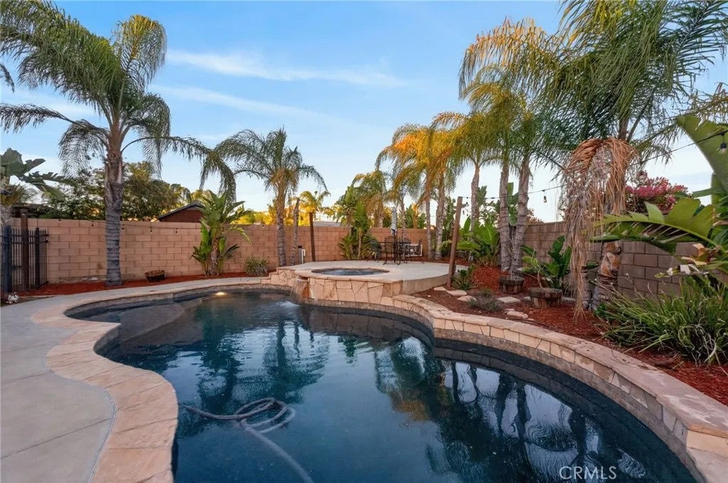 31247 Pinon Pine — photo