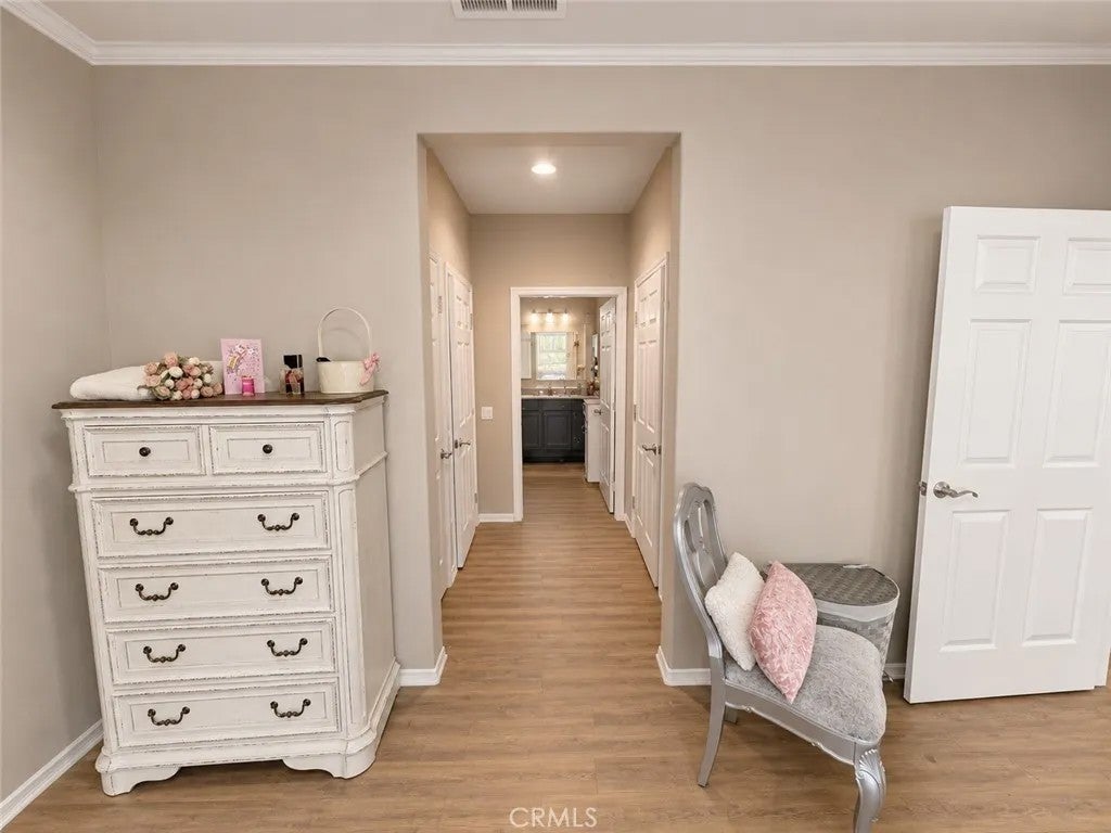 824 Coriander 502 — photo