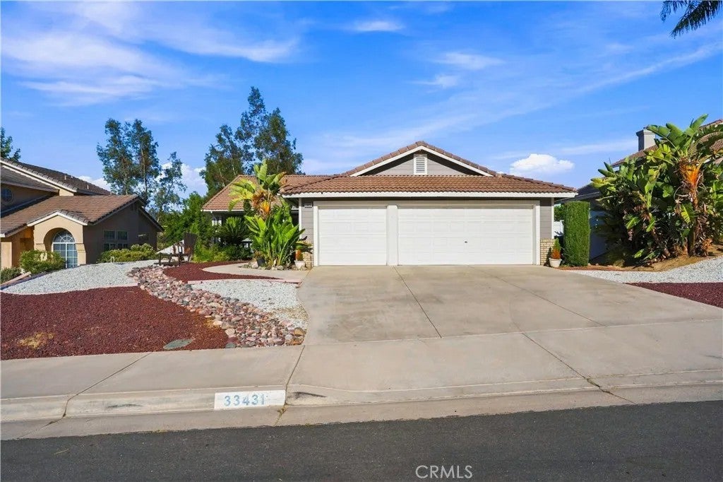 33431 Chelsea — photo