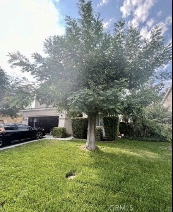 1166 Sykes Drive — photo