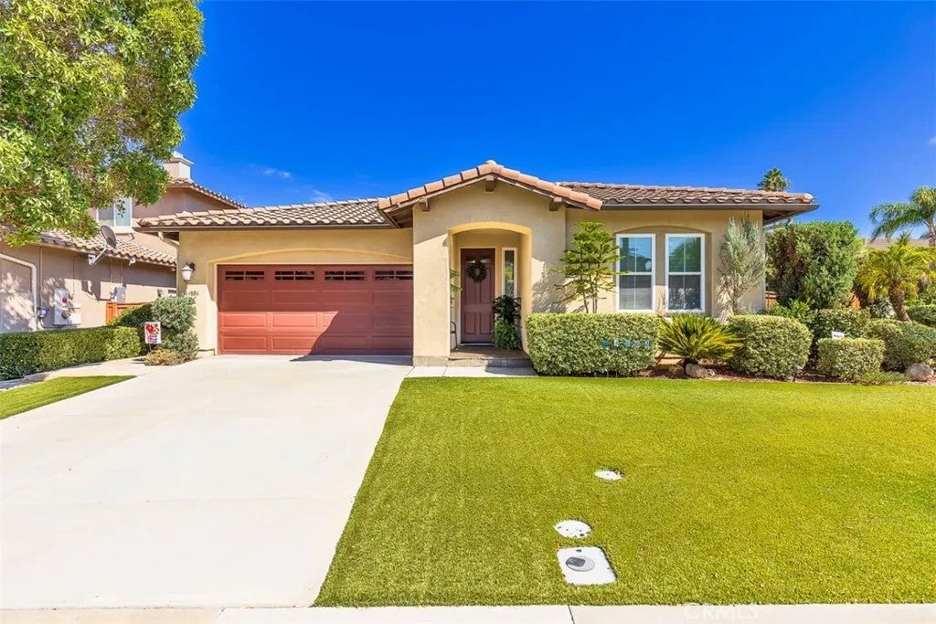 44804 Mumm — photo