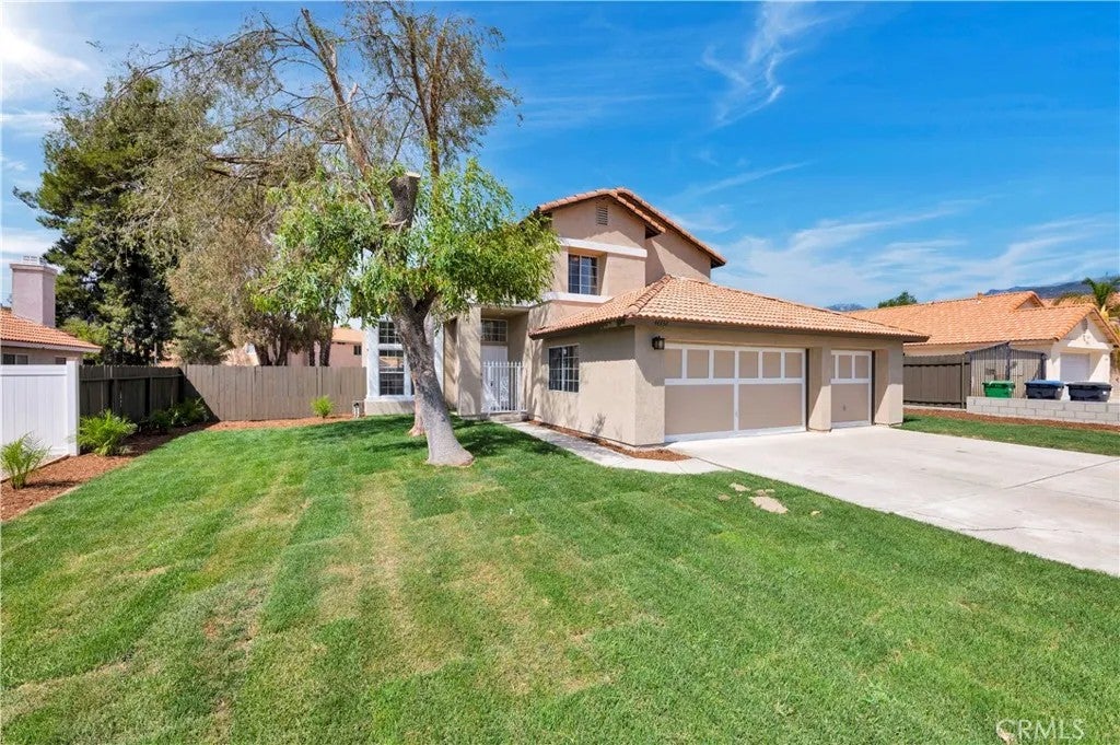 44332 Olive — photo