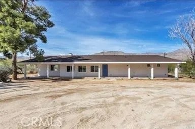 49440 Conejo — photo