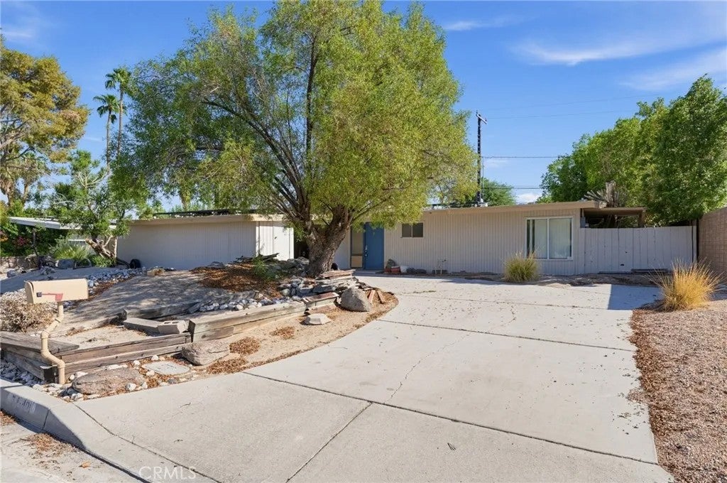 74401 Peppergrass — photo